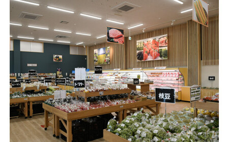野菜 旬の野菜セット 野菜 野菜 野菜 野菜 C08