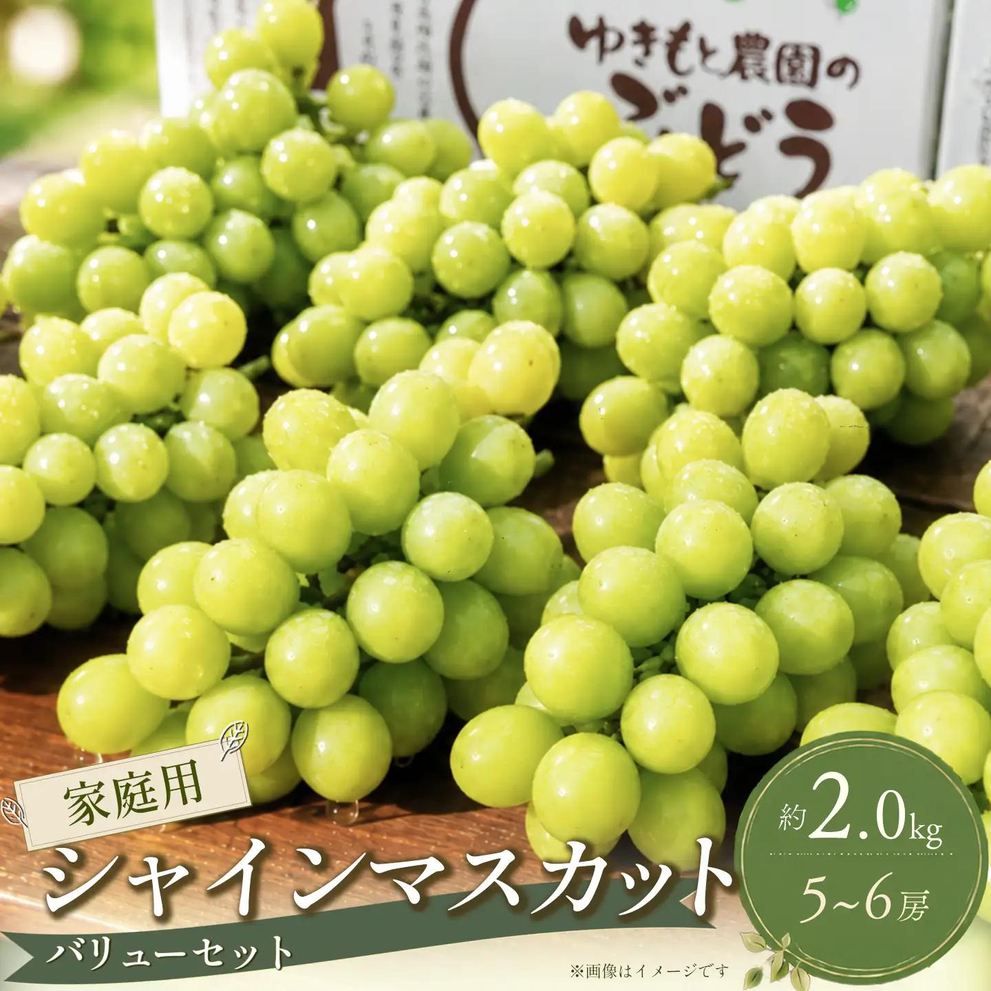 【家庭用バリュー】シャインマスカット 約2.0㎏（5～6房）シャインマスカット【8月～10月発送】