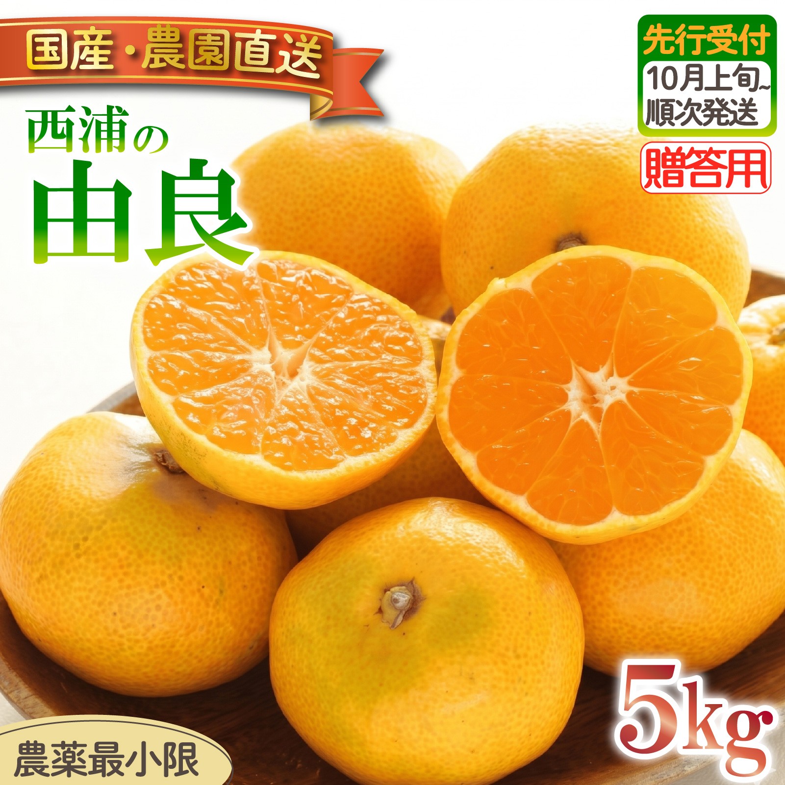 
                  由良 みかん 5kg 【贈答用】 木負観光みかん園 ミカン オレンジ 蜜柑 柑橘 フルーツ 旬 果物 国産 産地直送 季節限定 西浦 沼津市 静岡県 贈答 ギフト プレゼント 贈り物
                