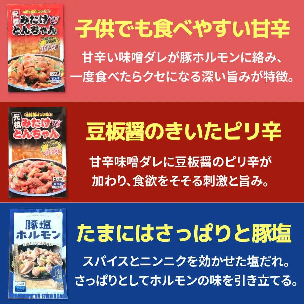 「元祖みたけとんちゃん」 3種セット（12人前）[AVAA057]ホルモン 食べ比べ