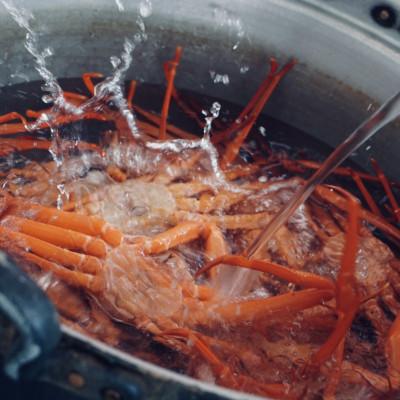 ふるさと納税 射水市 【富山県新湊産】 ボイル紅ズワイ蟹姿(約700g)×1杯 |  | 01