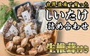 【ふるさと納税】椎茸づくし！しいたけ詰め合わせセット FA-4