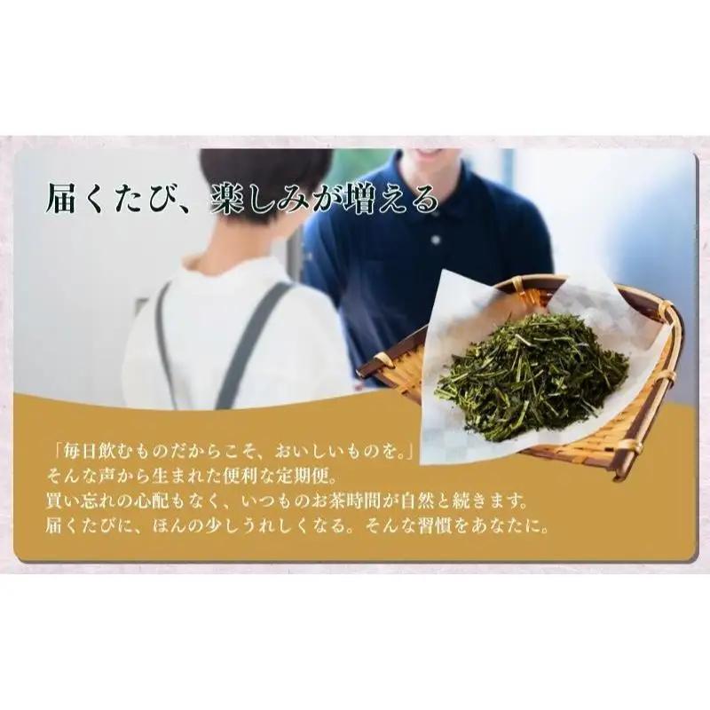 お茶 いしだ茶屋 煎茶 お茶巡り 6ヵ月 お茶