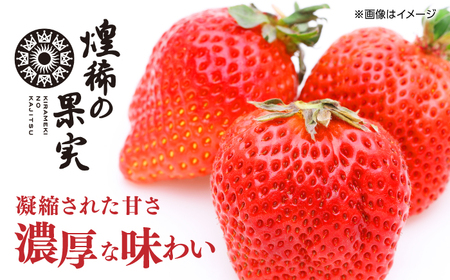 煌稀の果実　高知市春野町産 苺 超大粒（約600g・9または12粒）＜2025年1月 から発送開始＞