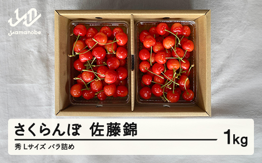 
                  《先行予約》2026年 山形県産 さくらんぼ 佐藤錦 バラ詰め 1kg 秀 L サクランボ フルーツ 果物 F21A-335
                