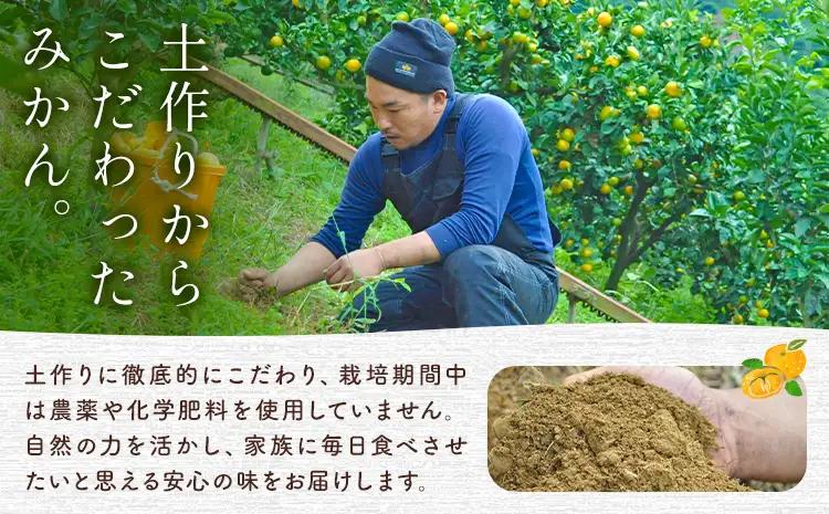 紀州みかん約5kg ときわオンライン《10月中旬-2027年1月下旬頃出荷》和歌山県 紀の川市 フルーツ 果物 柑橘 みかん
