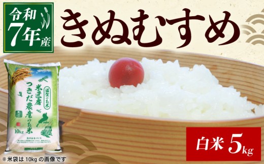 令和7年産 きぬむすめ 白米 5kg 米 コメ お米 5キロ 米5kgご飯 ごはん キヌムスメ おにぎり お弁当 滋賀 彦根