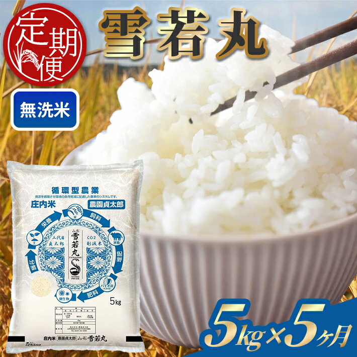 【ふるさと納税】≪5ヶ月定期便≫ 無洗米 雪若丸 5kg×5ヶ月連続 計25kg 令和7年産 山形県産 ご希望期間の毎月下旬にお届け 白米 庄内米 米 ごはん ご飯 酒田市 庄内 山形県 東北 定期便 5回