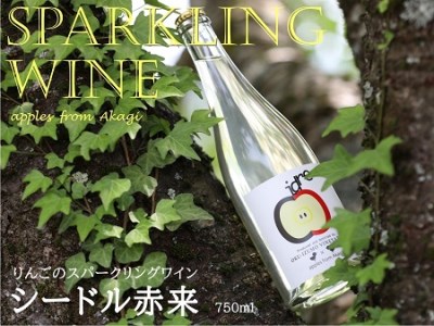 りんごのスパークリングワイン 「シードル赤来」  750ml【ワイン 炭酸 お酒 リンゴ パーティ ギフトＥ-1】