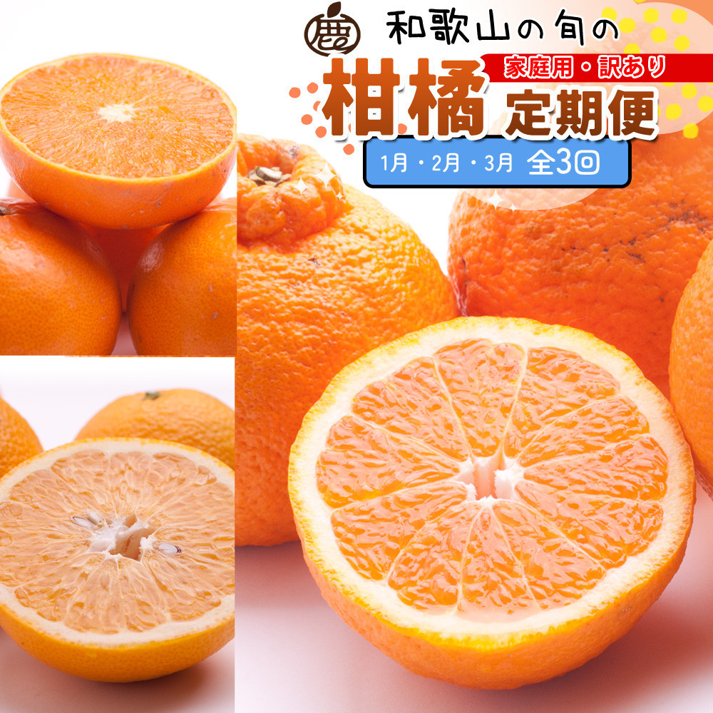 家庭用 柑橘定期便S（1～3月）全3回 ［IKE303］BB90212