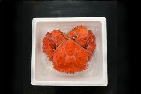 【北海道根室産】花咲がに姿1.2kg×1尾 C-01023