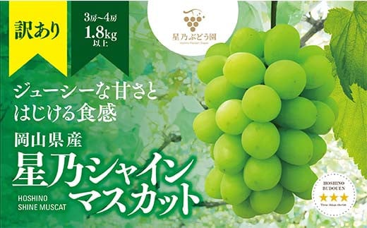 
            ＜先行受付＞訳あり星乃シャインマスカット(岡山県産) 3～4房(1.8kg以上)【1418932】
          