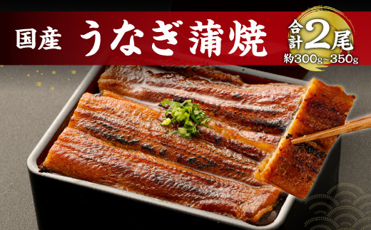 鹿児島産 鰻 蒲焼き 2本 約300～350g セット 老舗130年の味