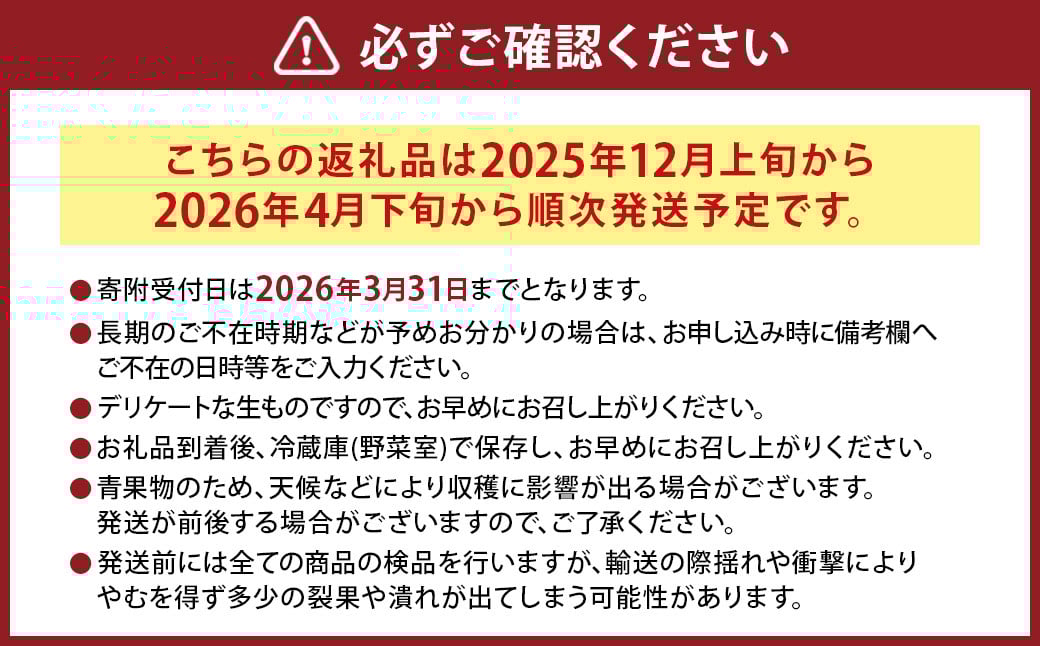 にべさんちの苺 熊本県産イチゴかおり野 約520g