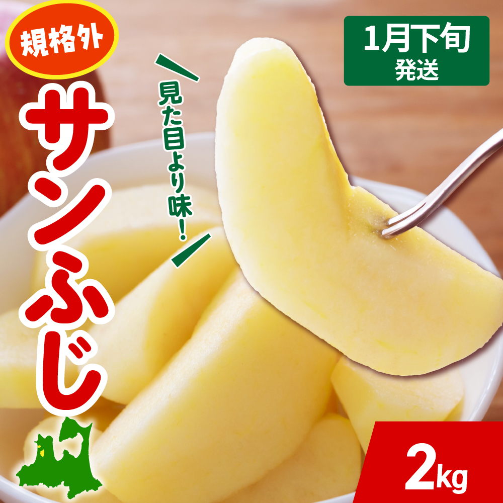 【2026年1月下旬発送】りんご サンふじ 約 2kg 規格外 程度 青森 五所川原 不揃い サン ふじ りんご規格外
