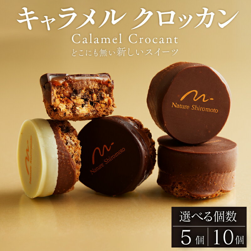 【ふるさと納税】 チョココーティング仕上げ キャラメルクロッカン 選べる個数 5個 10個 キャラメル クロッカン チョコ チョコレート カカオ ナッツ スイーツ 焼き菓子 お菓子 焼菓子 デザート 洋菓子 プレゼント 人気 おすすめ 京都 八幡 パティスリーナチュールシロモト