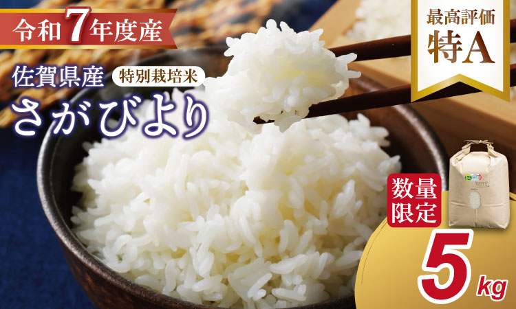 【新米】R７年度産（令和７年）特別栽培米 佐賀ブランド 米「 さがびより 」（5kg）田中農場 精米 白米 5キロ 単位 もちもち 食感 冷めても 美味しい お一人様 ご家族用 ランキング 特A 評価
