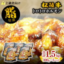 【ふるさと納税】＼脂身たっぷり／松阪牛トロトロホルモン 300g×5P 松阪牛 松坂牛 牛肉 ブランド牛 高級 和牛 日本三大和牛 国産 キクアブラ 脂身 もつ もつ肉 モツ モツ肉 ホルモン肉 ホルモン焼 ホルモン焼き 焼肉 焼き肉 バーベキュー 冷凍 小分け