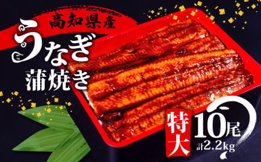国産 うなぎ 蒲焼き 10尾 ( 1尾 約220g ) 尾頭付き 土用の丑の日 高知県産 蒲焼 特大 特上 鰻 ひつまぶし うな丼 うな重 お歳暮 ギフト 冷凍 養殖 ふるさと納税うなぎ 高知県 須崎