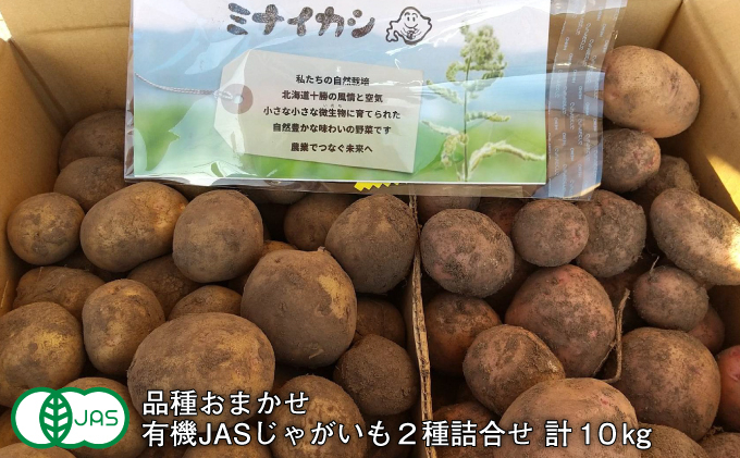
                  北海道十勝 ミナイカシのワイルドジャガイモおまかせ2種 計10kg 【有機JAS】自然栽培 じゃがいも【 芋 いも ジャガイモ 野菜 食品 有機 人気  産直 産地直送 北海道 幕別 】 [№5749-1282]
                