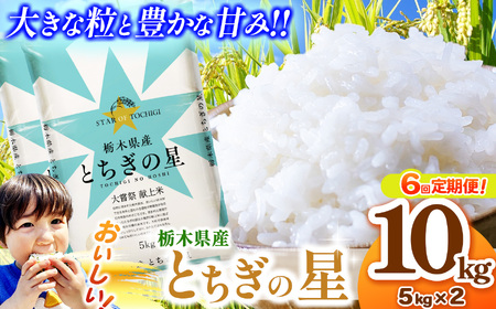 【定期便6回】栃木県産とちぎの星 10kg
