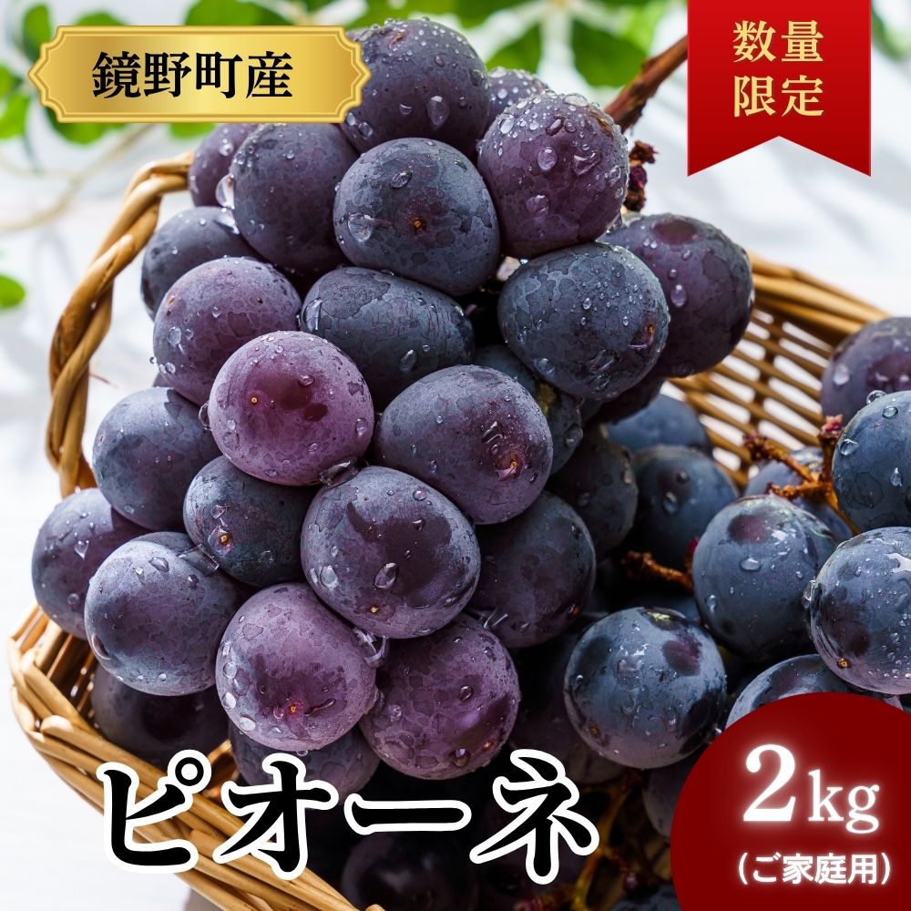 【ふるさと納税】【期間限定】鏡野町産 ピオーネ 2kg（ご家庭用）【004-a029】