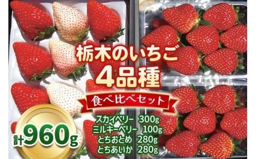 いちご4品種 食べ比べセット 960g （とちあいか・とちおとめ・ミルキーベリー・ スカイベリー）