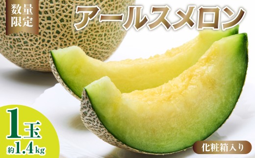 メロン 先行予約 アールスメロン ミラノ夏Ⅰ 1玉 約1.4kg 化粧箱入り | 果物 くだもの フルーツ メロン アールスメロン ミラノ夏Ⅰ 国産メロン 産地直送 夏ギフト お中元 美味しい おいしい 甘み デザート スイーツ ギフト 高糖度メロン 贈り物 埼玉県 久喜市