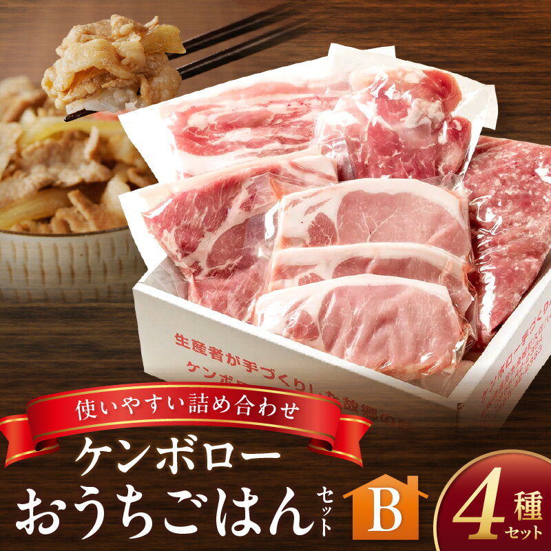【ふるさと納税】おうちごはんセットB（ステーキ2種、こま切れ、スライス肉、豚ミンチセット） 【002_1973】