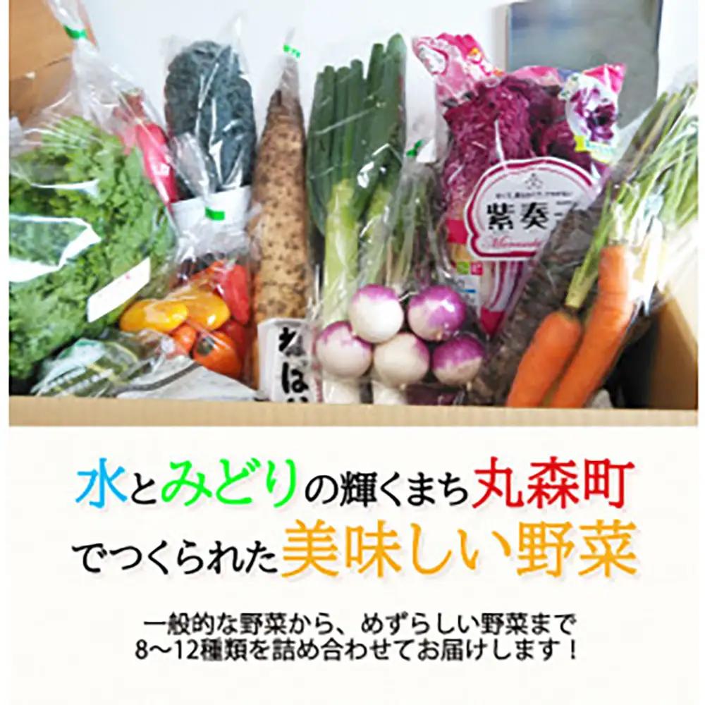季節のおすすめ野菜おまかせ詰め合わせ6ヵ月定期便 8種～12種類【16104】