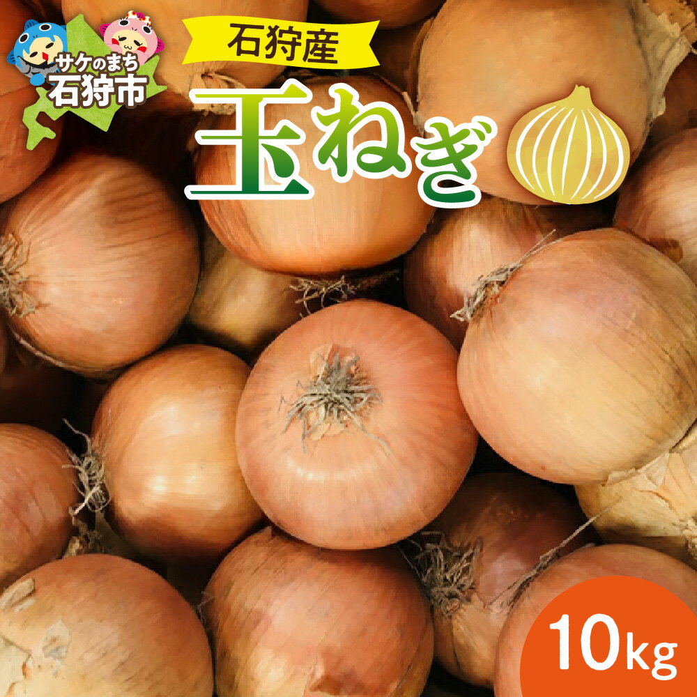 【ふるさと納税】玉ねぎ タマネギ 玉葱 【2025年度産：9月〜11月発送】石狩産 玉ねぎ 10kg　石狩市 いしかり 北海道 北海道産 道産 野菜 玉ネギ 玉葱 農産物 たまねぎ 10キロ 10kg 大量 一括 ケース 秋野菜 人気野菜 旬 旬野菜 季節野菜