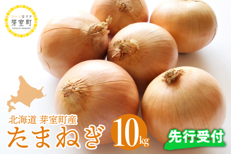 【先行受付】【2025年10月より配送予定】北海道 十勝 芽室産 たまねぎ 10kg 1箱 玉ねぎ 玉葱 タマネギ オニオン 野菜 ベジタブル 産地直送 新鮮 送料無料 お取り寄せ 10キロ 大容量 北海道産 道産 国産 芽室 めむろ 芽室町me002-023-24c
