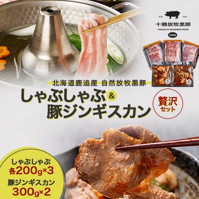 【毎月定期便】鹿追産 自然放牧黒豚 しゃぶしゃぶ各200g×3 ＆豚ジンギスカン300g×2全10回【配送不可地域：離島】
