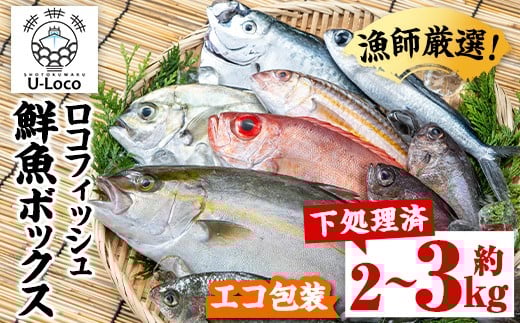 A78003 漁師厳選！ロコフィッシュ(地魚) 下処理済 鮮魚 ボックス(約2～3kg)【エコ包装】 地魚 魚 お魚 冷蔵 生もの 加工品 未利用魚 低利用魚 焼き魚 焼魚 刺し身 刺身 煮魚 届くまでのお楽しみ 鮮魚セット 鮮魚ボックス 鮮魚BOX【昌徳丸】