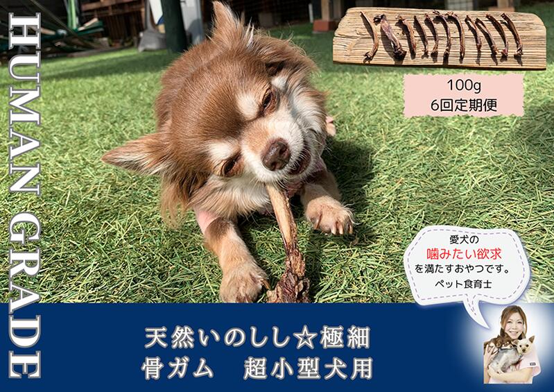 【ふるさと納税】超小型犬向け☆天然いのししの骨ガム100g【定期便】全6回（FB170）
