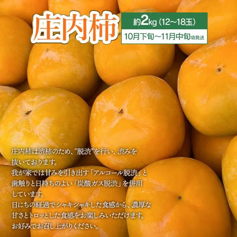 【令和8年産先行予約】鶴岡食べきりフルーツ定期便（3回お届け）　庄内砂丘メロン・シャインマスカット＆ピオーネ・庄内柿 山形県 鶴岡市