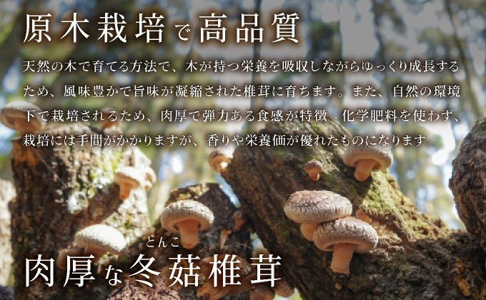 原木栽培で育てた本物の品質をご賞味ください