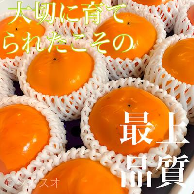 ふるさと納税 紀の川市 和歌山 柿農家直送 タカスオ農園 種無し柿 贈答用 2L主 大玉 7個入り 平均糖度16 |  | 03