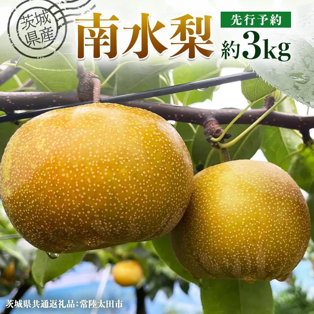 【 先行予約 】茨城県産 梨 南水 約3kg 7玉～9玉 ( 茨城県共通返礼品 : 常陸太田市 )【 2026年 9月中旬頃より発送 】