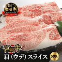 【ふるさと納税】【レビューキャンペーン中】宮崎牛肩（ウデ）スライス500g - 国産牛肉 牛ウデスライス 赤身スライス 濃い味わい しっかり食感 肉巻き 噛みしめる牛肉の旨味 脂身が苦手な方に さっぱり 送料無料【宮崎県木城町】