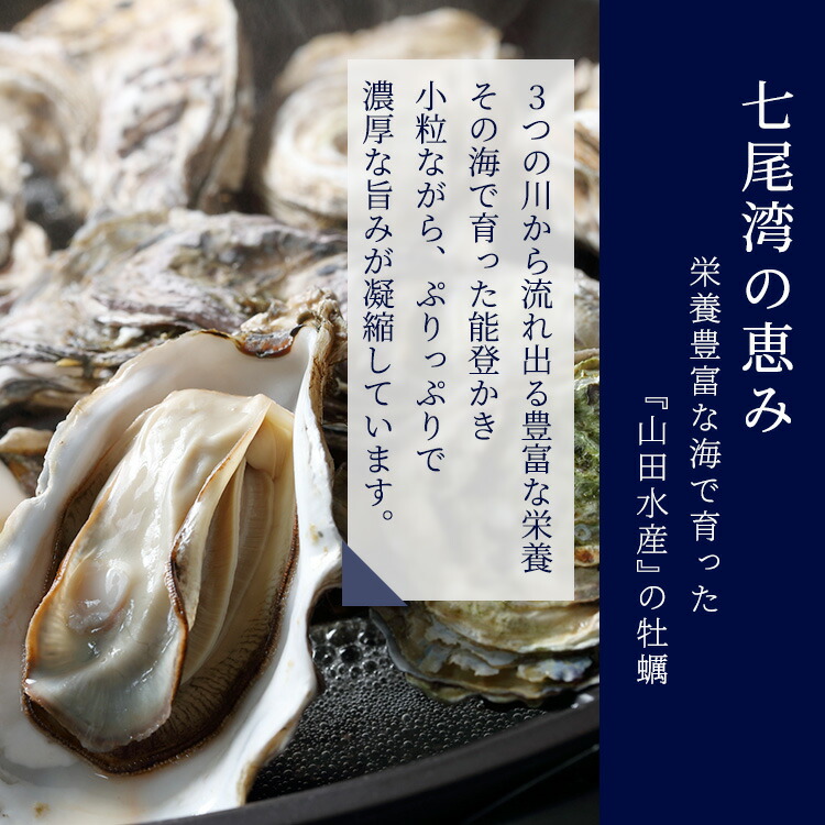 能登かき むき身800g～850g（箱入り）/石川県産/世界農業遺産「能登の里山里海」からお届け 加熱用 カキフライ 牡蠣鍋【カキ 牡蠣 養殖 魚介類 石川県七尾市】※離島への配送不可 ※2025年1