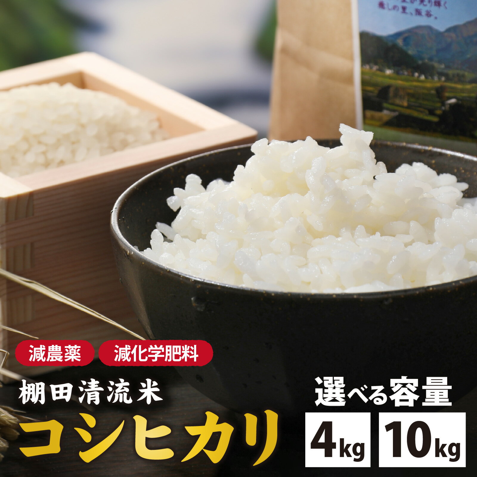 【ふるさと納税】【選べる内容量】【令和7年産】名水の里 越前大野の棚田清流米コシヒカリ 減農薬 減化学肥料 | こしひかり 農薬いらず 4kg 10kg 国産 送料無料
