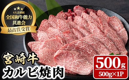 宮崎牛 カルビ焼肉(500g) 牛肉 肉 ブランド牛  冷凍 国産 精肉 お取り寄せ 黒毛和牛 宮崎県 【LJ010】【ローカルブランディング株式会社】