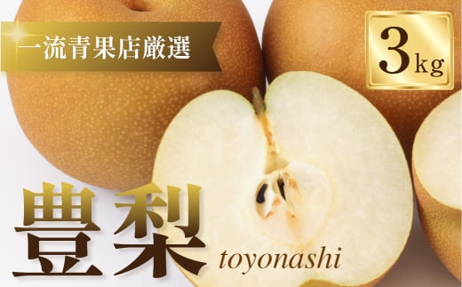 ≪先行予約 2026年発送≫ 一流青果店厳選！梨 3kg