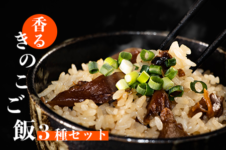 手軽に炊ける贅沢きのこご飯セット（2種類の味わい） 帆立ときのこ200g（2合炊き）×2パック 4種類のきのこ250g（3合炊き）×2パック 計4パック 炊き込みご飯 素 レトルト