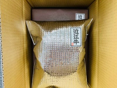 【3月末までに発送】近江牛すき焼き・しゃぶしゃぶ用肩ロース【500g】＋新食感！近江牛モチモチ牛とろハンバーグ（半製品）×3個【450ｇ（150ｇ×3個）】【AB65SM-3m】