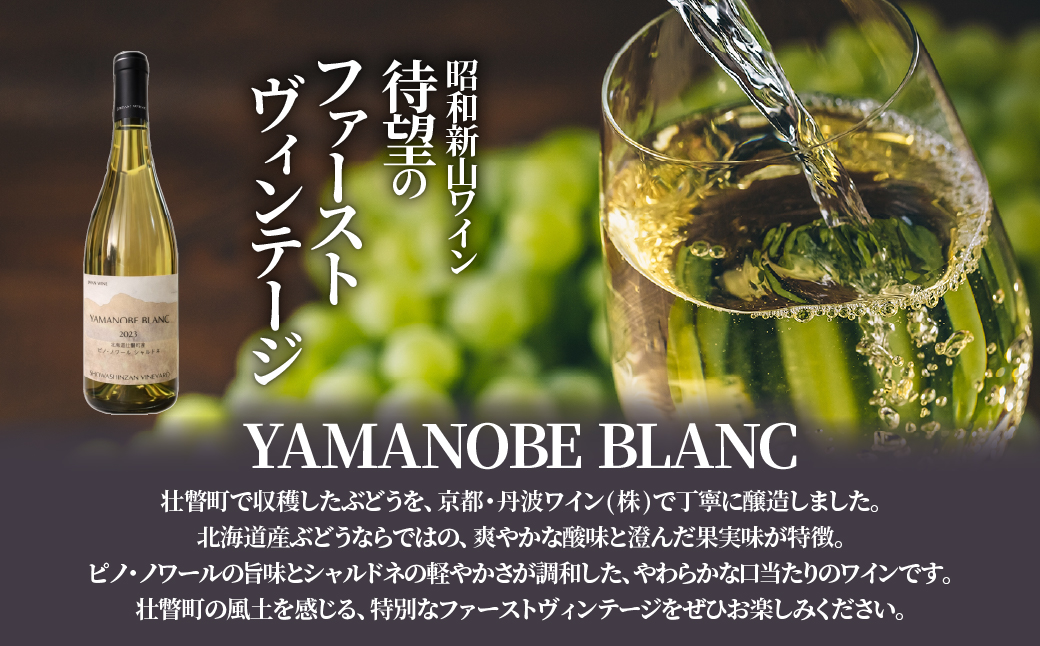 昭和新山ワイン　YAMANOBE BLANC 2023(ヤマノベブラン）白ワイン 辛口 壮瞥町産ぶどう100%  SBTQ012