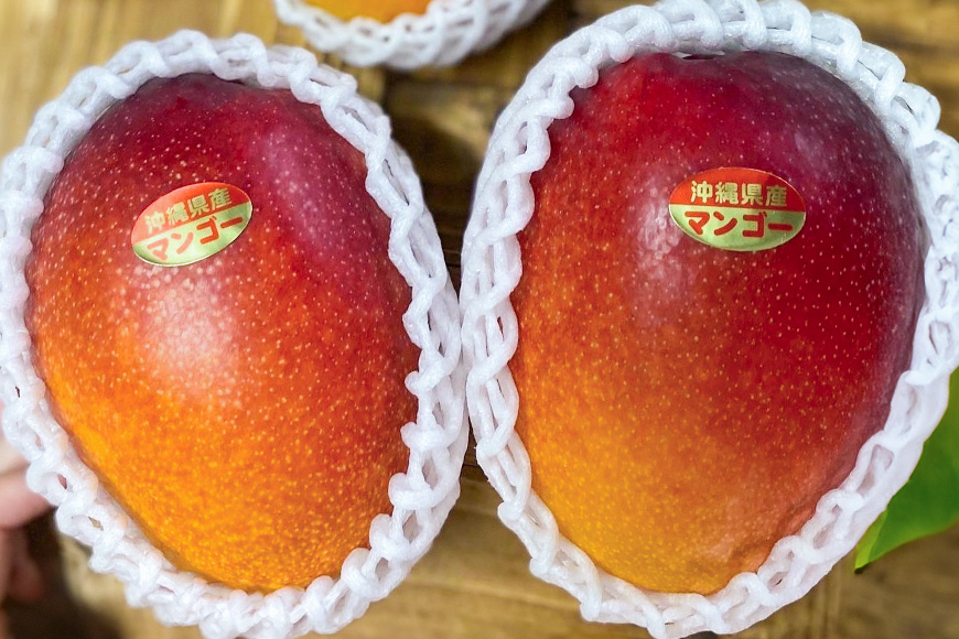 【2024年発送】【令和5年度優秀賞受賞】でーじマンゴーのアップルマンゴー2kg(贈答用)