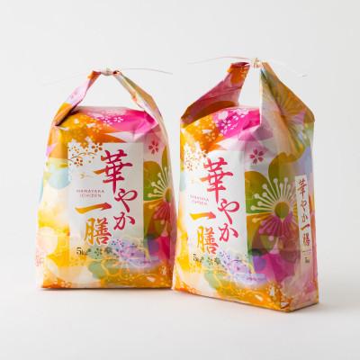ふるさと納税 養父市 【毎月定期便】蛇紋岩ブランド 華やか一膳 10kg(5kg×2)全3回 |  | 01