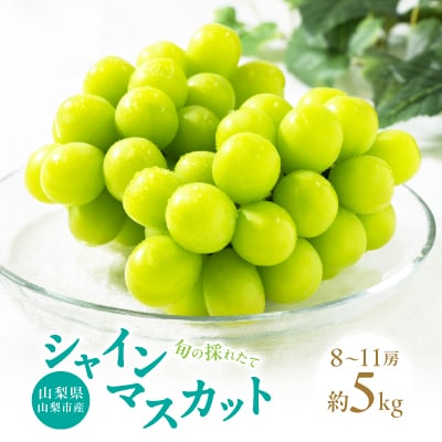 【2026年先行受付】山梨県山梨市産　旬の採れたてシャインマスカット　秀等品　約5kg(8～11房)【配送不可地域：離島・沖縄県】